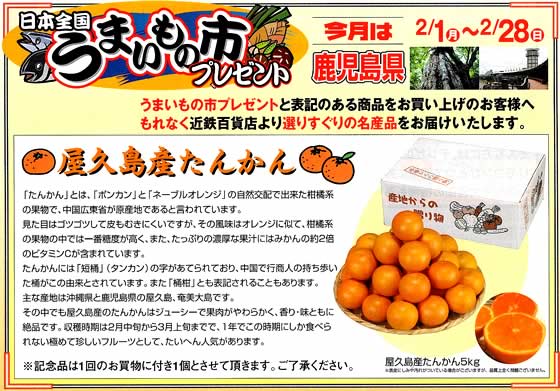 アトム電器チェーン特選カタログ 2月のフェア