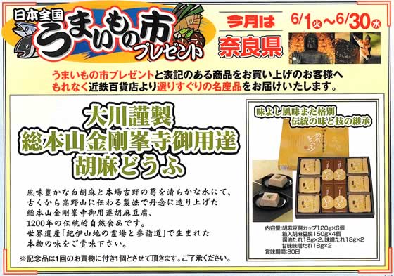 アトム電器チェーン特選カタログ 6月のフェア