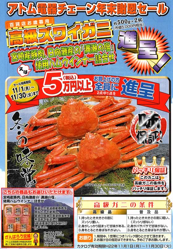 アトム電器チェーン特選カタログ 11月のフェア